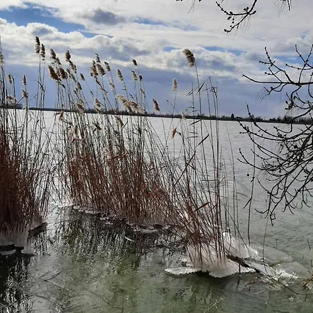 Panonsko Palic