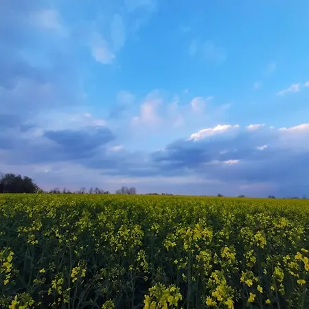 아파트 Panonsko *