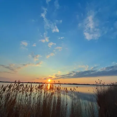 Panonsko 아파트 팔릭