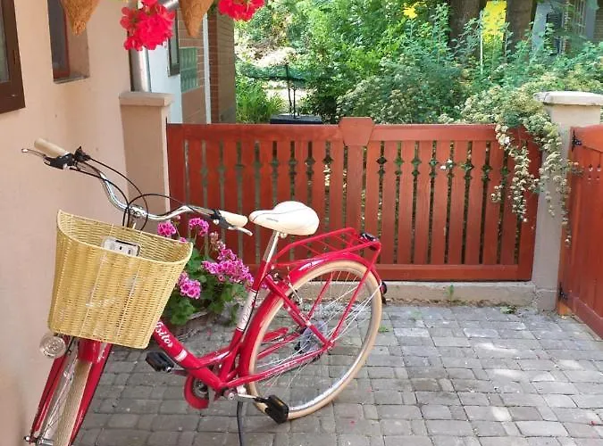 Panonsko Апартаменты Палич