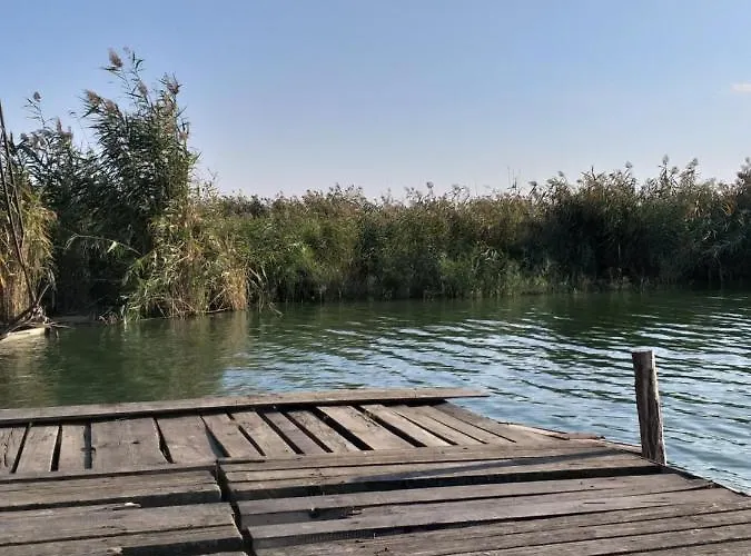 Panonsko * Палич