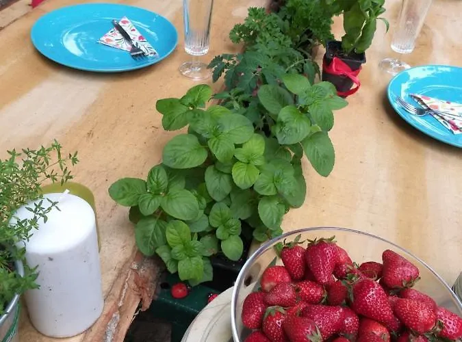 Panonsko Апартаменты *