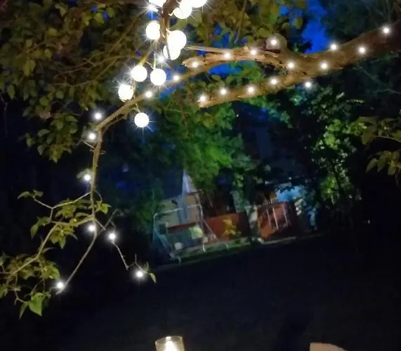 Апартаменты Panonsko Палич