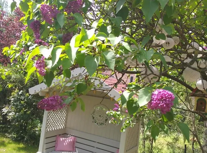 Апартаменты Panonsko *