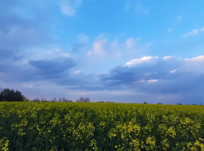 Апартаменты Panonsko *