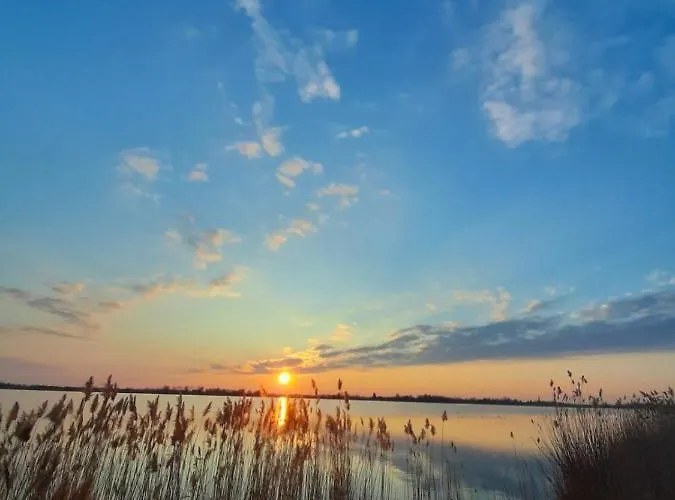 Panonsko Апартаменты Палич